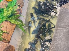 -春盛渔府(牛首山店)
