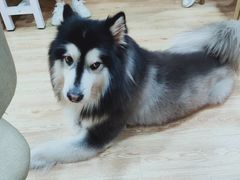 -白兔子密室(长寿路店)