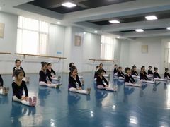 -西安小天鹅艺术团(金花路校区)