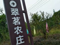 -翠茗农庄土菜馆(天目湖店)