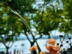 -青竺·青竹茶舍(断桥店)