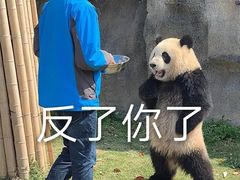 -沈记烧烤海鲜(江汉二路店)