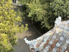 -云龙山