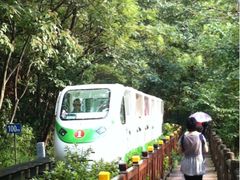 -冰厂田幼儿园(碧云部)