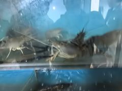 -渔娘蟹庄(阳澄湖莲花岛店)