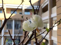 -福州大学(旗山校区)