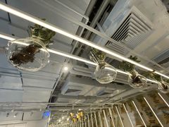 -% Arabica阿拉比卡咖啡(前滩太古里店)