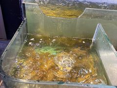 水产区-日进一片海.生腌海鲜火锅.宵夜烧烤(三里屯总店)