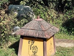 -诗经里