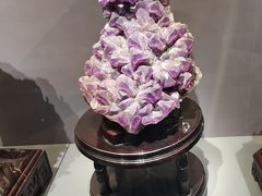 -湖南省地质博物馆