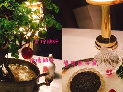 -西郊5号·Maggie 5