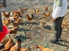 -动邦皮划艇·桨板·独木舟·团建户外运动俱乐部
