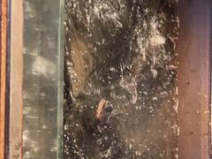 -上名堂·鱼头好吃(体育场路店)