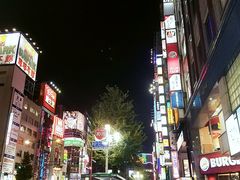-东京希尔顿酒店