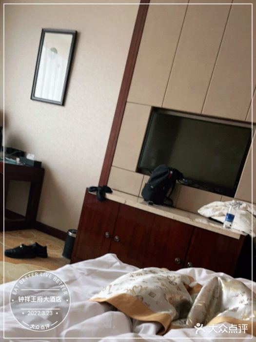 钟祥王府大酒店图片