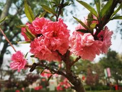 -海棠花溪(元大都城垣遗址公园)