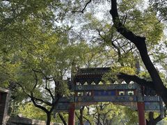 -北京国子监胡同