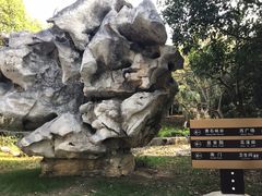 -花溪公园