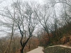 -紫金山山顶公园