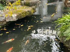 -香然会·园林雅宴(陆家嘴店)