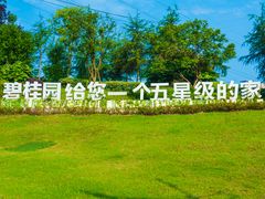 -重庆长寿碧桂园凤悦凤凰酒店
