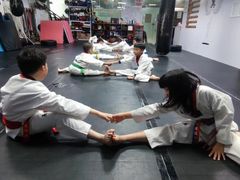 -金翼跆拳道巴西柔术拳击格斗学院