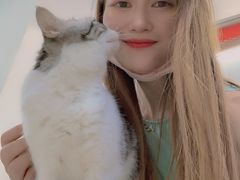 -李小姐の猫咖啡馆(五角场店)