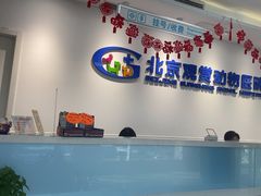 -北京观赏动物医院·24小时大型综合·猫专科·异宠专科