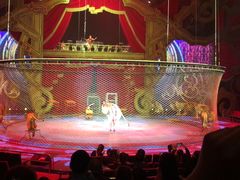 -珠海横琴长隆《卡卡虎奇遇记》