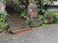 -呀诺达热带雨林