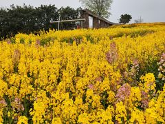 -白鹭湾湿地公园