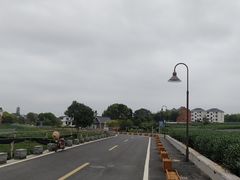 -龙坞茶村