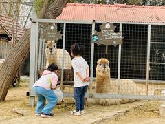 -意大利农场度假村