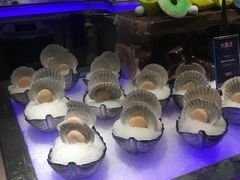 大扇贝-海鼎荟海鲜姿造(晋江宝龙店)