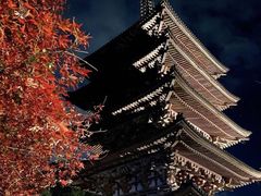 -醍醐寺