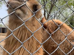 -宿豫区运河湾森林动物园