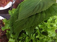 苏子叶-韩风烤牛肉冷面店