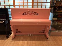 -柏斯音乐艺术中心·钢琴·吉他(世纪金源店)