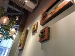 -仙踪林(惠润广场店)