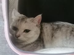 -瑞派康怡24h宠物医院·犬猫医疗中心·微创绝育(瑞景分院)