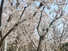 -青岛鑫江温德姆酒店