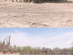 -天津市动物园