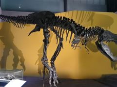 -湖南省地质博物馆