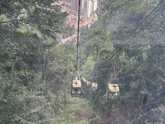 -黔灵山公园