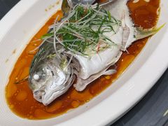 -海鲜e族(马王堆店)