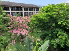 -西双版纳洲际度假酒店-海鲜傣味烧烤·侬香全日制餐厅