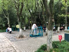 -瀛洲公园