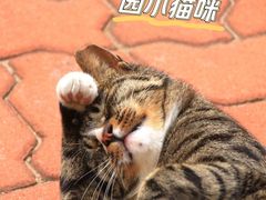 -山东大学(威海校区)