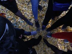 -昆山城市生态森林公园