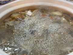 -蘑统田下·野生菌火锅